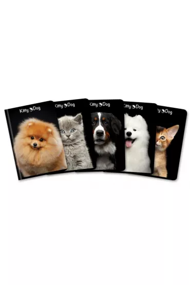 Top-2000 Zeszyt A5 Kitty & Dog kratka 60 kartek 10 szt.