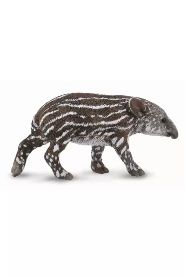 Tapir ciel� bairda