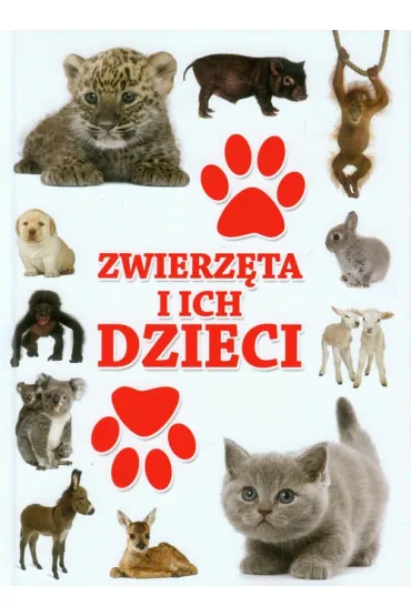 Zwierzeta i ich dzieci (OT) - Iwona Baturo