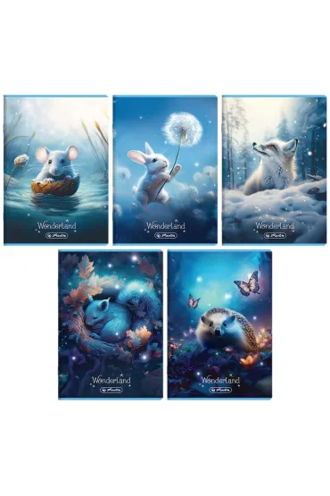 Herlitz Zeszyt A5 Wonderland dwie linie 32 kartki