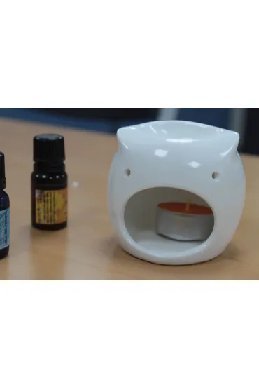 Kominek do aromaterapii Niska Sowa