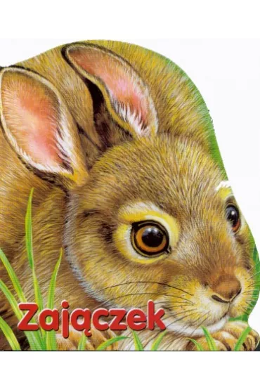 Zaj�czek - Monika Eisele, Ray Cresswell