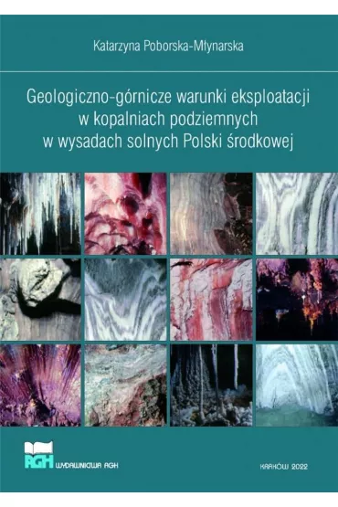 Geologiczno-g�rnicze warunki eksploatacji w kopalniach podziemnych w wysadach solnych Polski �rodkowej - Katarzyna  Poborska-M�ynarska