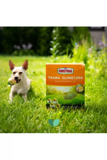 Substral Mieszanka nasion Trawa S�oneczna ogrodowa 2.3 kg