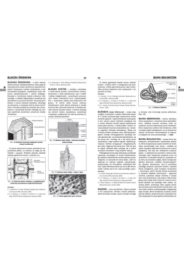 Encyklopedia szkolna - biologia - Agnieszka Nawrot