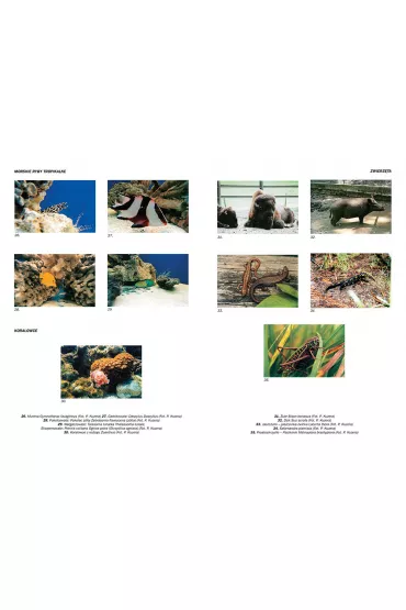 Encyklopedia szkolna - biologia - Agnieszka Nawrot