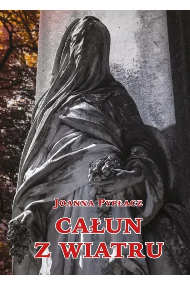 Ca�un z wiatru - Joanna Pyp�acz