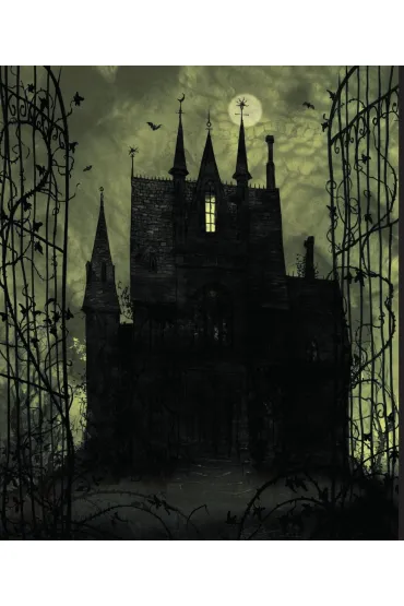 Harry Potter i Czara Ognia (wydanie ilustrowane) - Joanne Kathleen Rowling