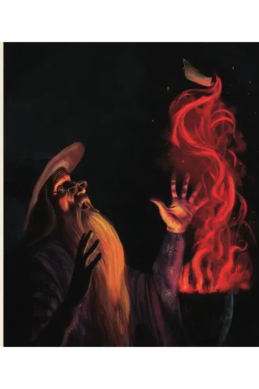Harry Potter i Czara Ognia (wydanie ilustrowane) - Joanne Kathleen Rowling