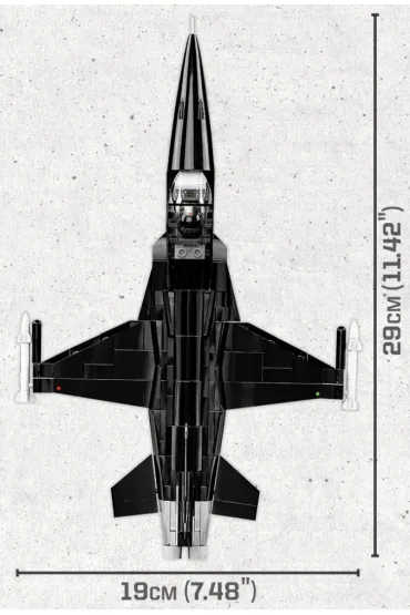 Top Gun: MIG-28