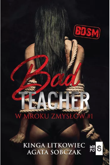 Bad Teacher. W mroku zmys��w. Tom 1 - Kinga Litkowiec, Agata Sobczak