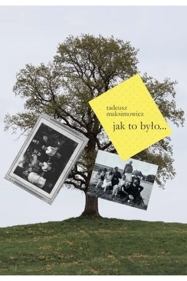 Jak to by�o... - Tadeusz  Maksimowicz