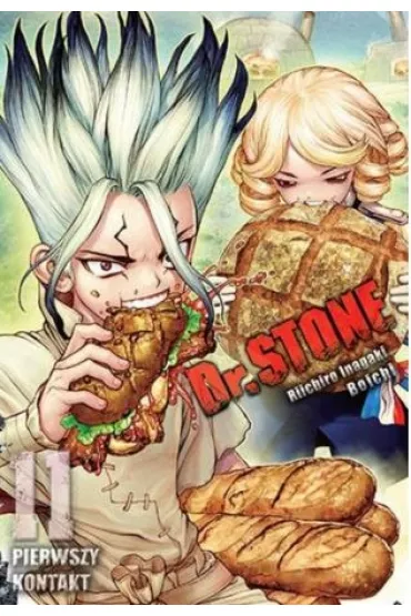 Dr. Stone. Tom 11 - Boichi, Riichiro Inagaki