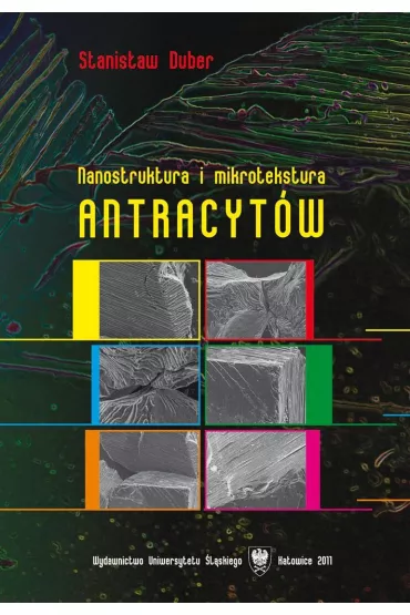 Nanostruktura i mikrotekstura antracyt�w - Stanis�aw Duber