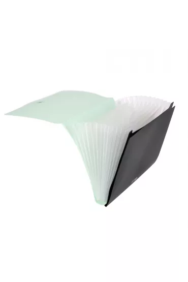 WPC Teczka VFILE A4 z 13 przek�adkami i klipem mi�towa