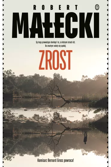 Zrost. Bernard Gross. Tom 4 - Robert Maecki