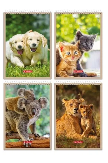 Notatnik A6/40K kratka Animals (10 szt) HERLITZ