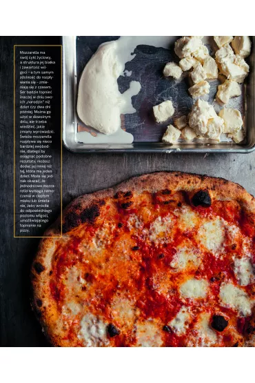 Pizza. Przepisy i techniki znanego pizzaiolo - Katie Parla, Dan Richer