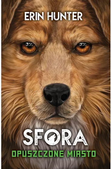 Opuszczone miasto. Sfora. Tom 1 - Erin Hunter