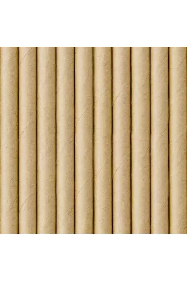 PartyDeco S�omki papierowe, kraft 19.5cm 10 szt.