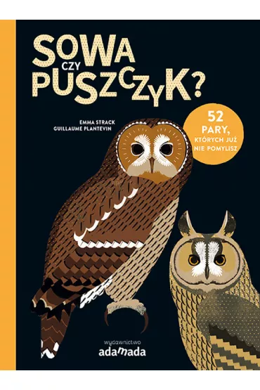 Sowa czy puszczyk - Emma Strack, Guillaume Plantevin