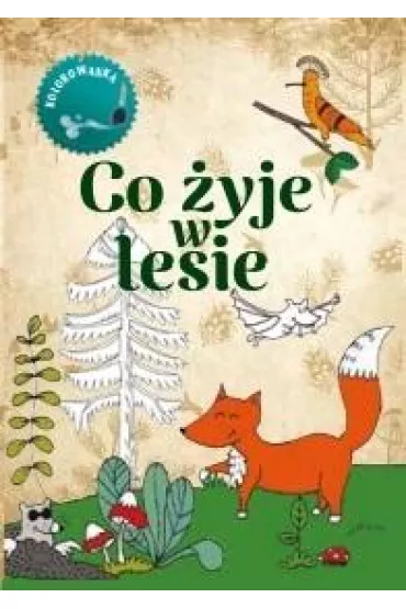 Co �yje w lesie. Kolorowanka - Gil Wojciech