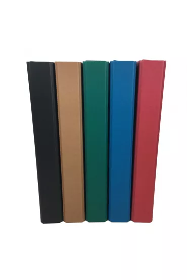 EV-Corp Teczka A4 BOX kraft colours 308x240 assorted ANB210556