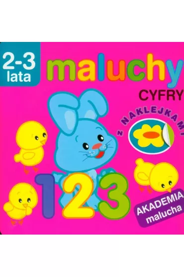 Akademia malucha cyfry 2-3 lata - Irma Pikiene
