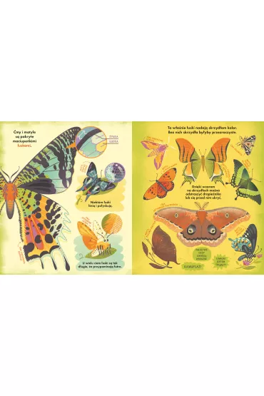 Co si� kryje w kokonie? Fascynuj�ce ciekawostki o �mach i motylach - Rachel  Ignotofsky
