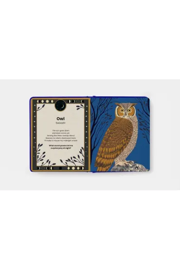 The Secret Powers of Animals - Soledad Romero Marino