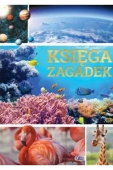Ksi�ga zagadek