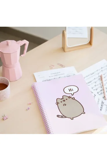 Skoroszyt A4 z gumk� Pusheen CFA405