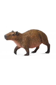 Kapibara gryzo