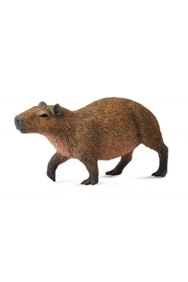 Kapibara gryzo�