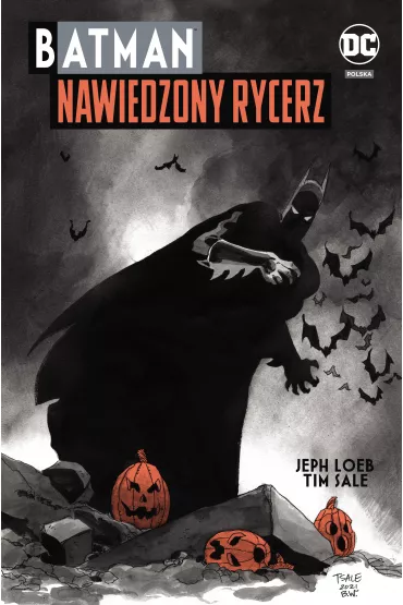 DC Deluxe Nawiedzony Rycerz. Batman - Tim Sale, Jeph Loeb