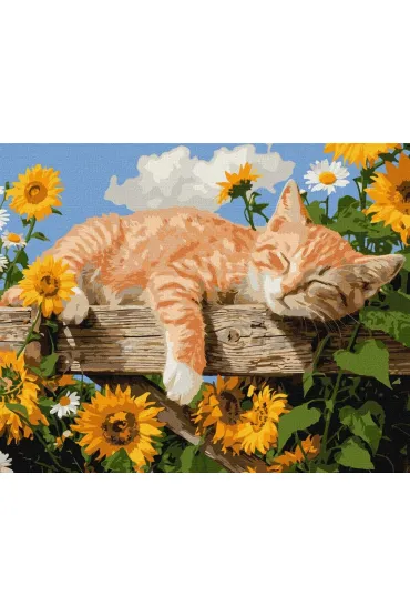 Ideyka Malowanie po numerach - W obj�ciach wiosny 40x50cm