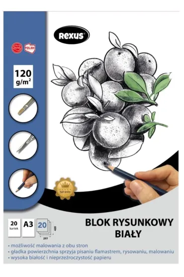 Beniamin Blok rysunkowy A3 Premium bia�y 20 kartek