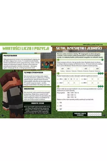 Minecraft. Matematyka. Megazadania 9+ - Leisa Bovey, Dan  Lipscomb