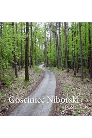 Go�ciniec Niborski