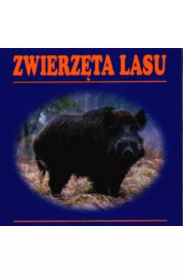 Zwierz�ta lasu (sk�adanka)