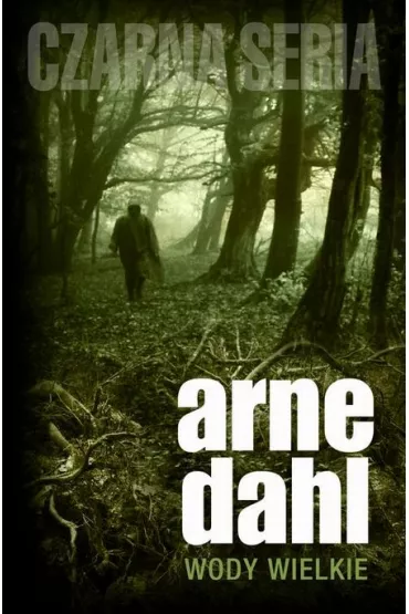 Wody wielkie - Arne Dahl