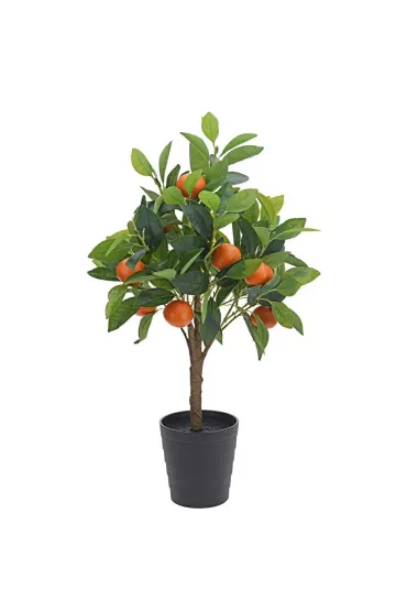 ProGarden Drzewko pomara�czy w donicy 70 cm