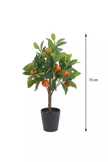 ProGarden Drzewko pomara�czy w donicy 70 cm