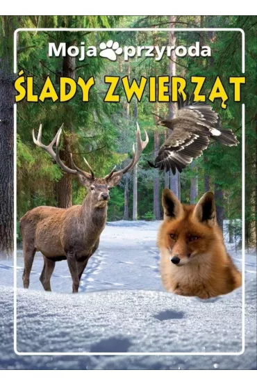 Moja przyroda. �lady zwierz�t - Anna Paszkiewicz