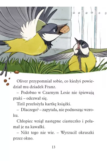 Operacja Czarny Las. Biuro Detektywistyczne nr 2. Tom 16 - Jorn Lier Horst, Hans Jorgen Sandnes