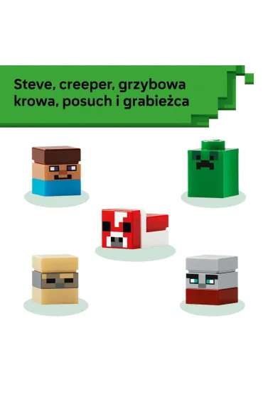 LEGO Minecraft Minibiomy 21589