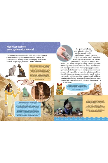 Ksi��ka edu. B5 Ma�a encyklopedia. Koty SKRZAT 077322 - Wioleta �y�owska