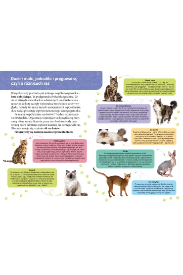 Ksi��ka edu. B5 Ma�a encyklopedia. Koty SKRZAT 077322 - Wioleta �y�owska