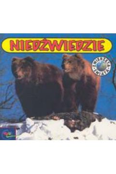 Nied�wiedzie
