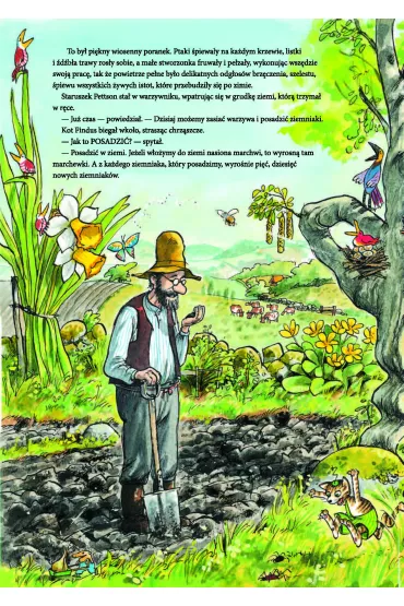 Pettson i Findus. Rwetes w ogrodzie - Sven Nordqvist